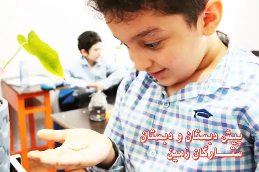 مدرسه ستارگان زمین، پرورش کرم ابریشم: تجربه آموزشی در دبستان ستارگان زمین